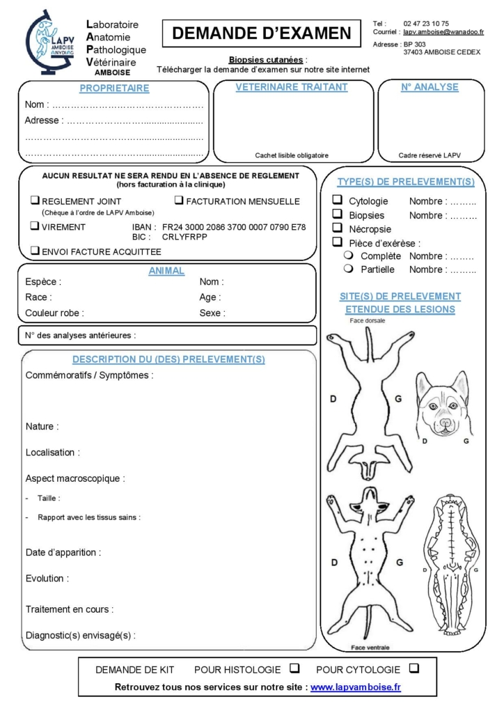 Faire Une Demande Dexamen Laboratoire DAnatomie Pathologique